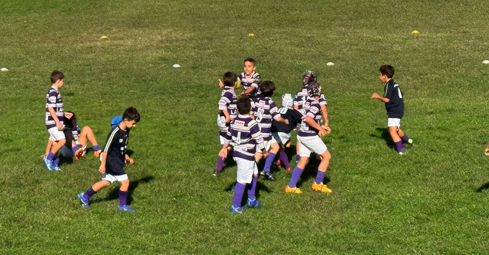 Immagine WhatsApp 2024 10 12 ore 17.53.45 0706d50c