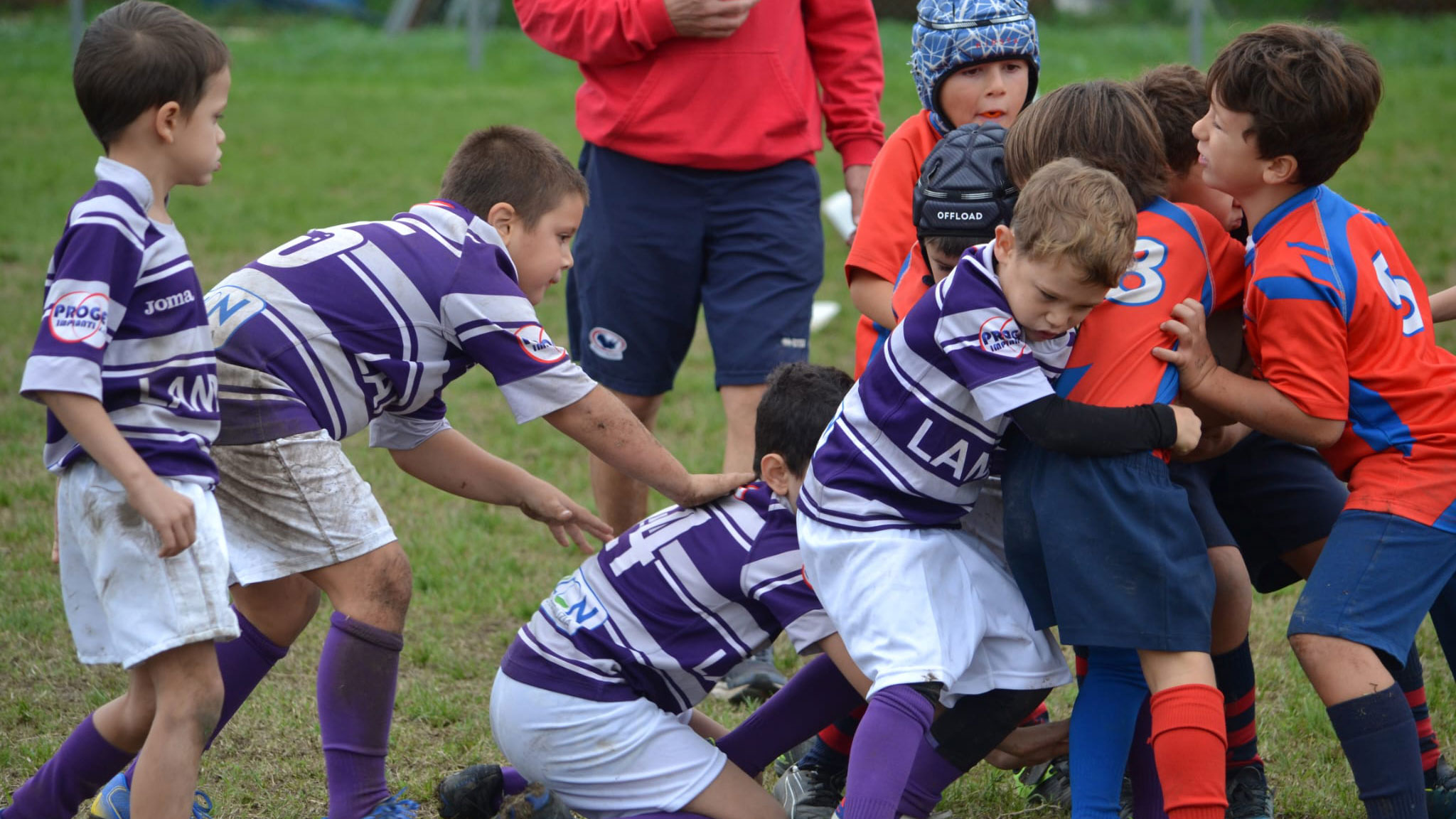 Immagine WhatsApp 2024 10 13 ore 16.24.39 b11b9169