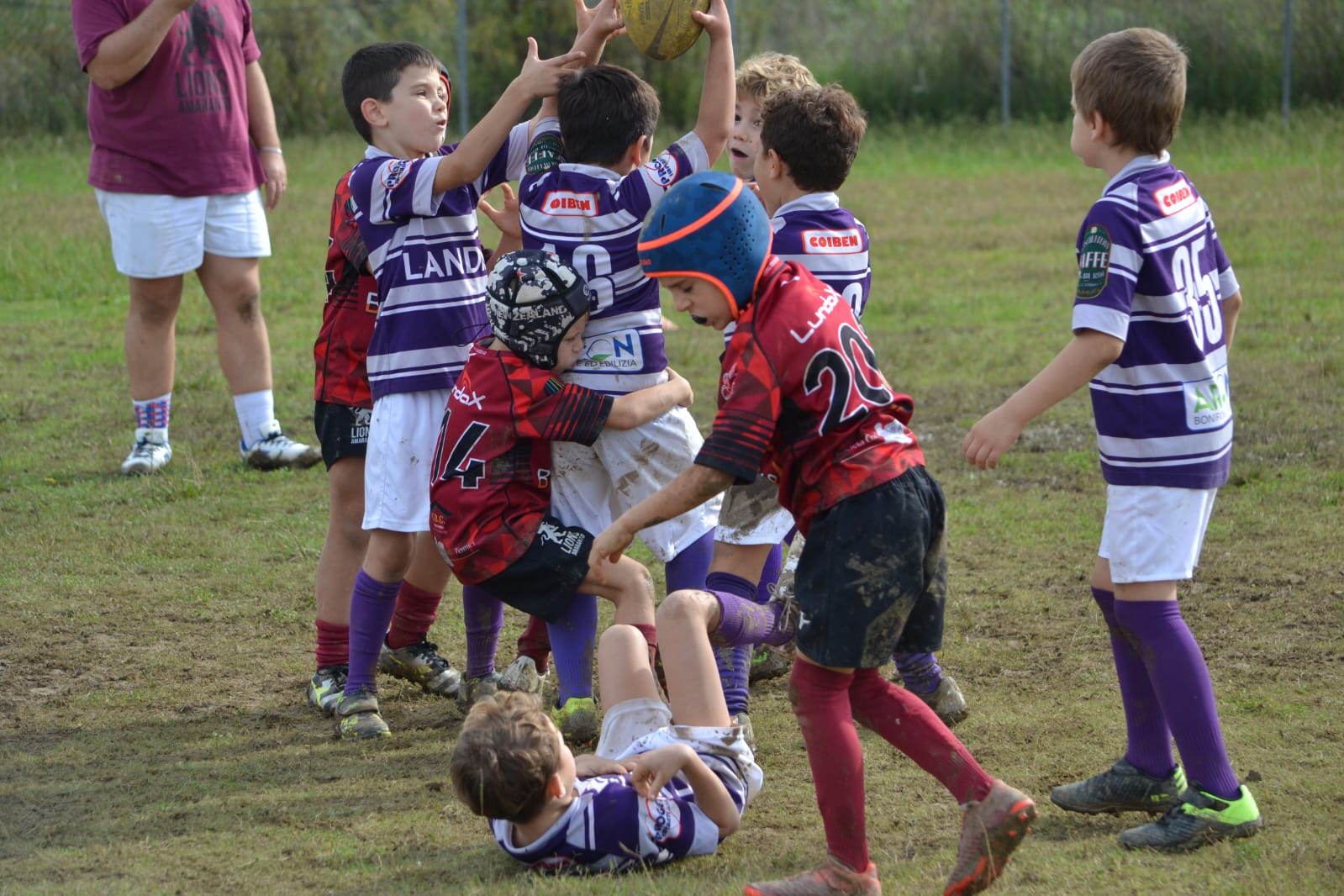 Immagine WhatsApp 2024 10 27 ore 20.28.45 43887c67