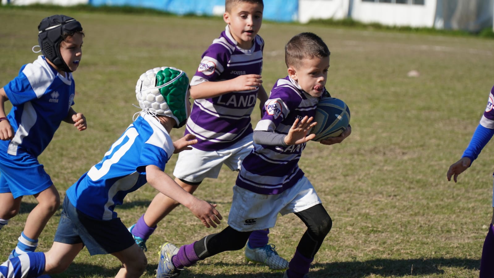 Immagine WhatsApp 2024 11 10 ore 13.00.11 326389d8