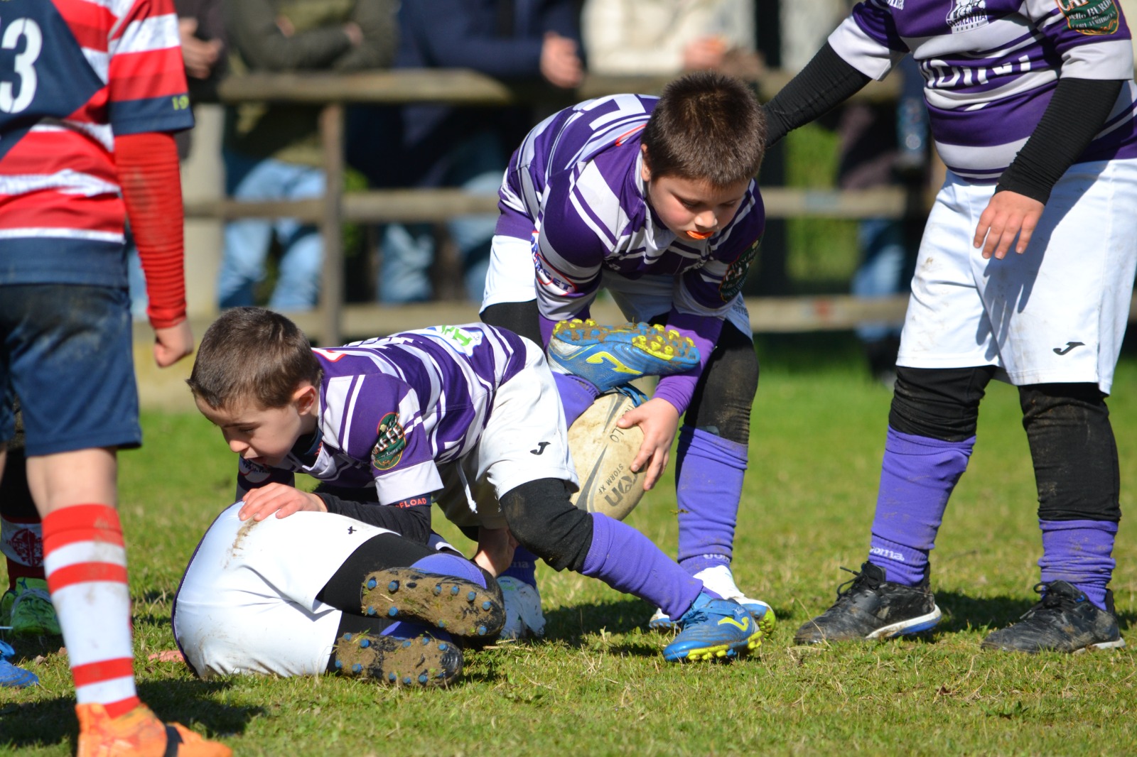 Immagine WhatsApp 2025 02 16 ore 18.53.18 78c7e57f