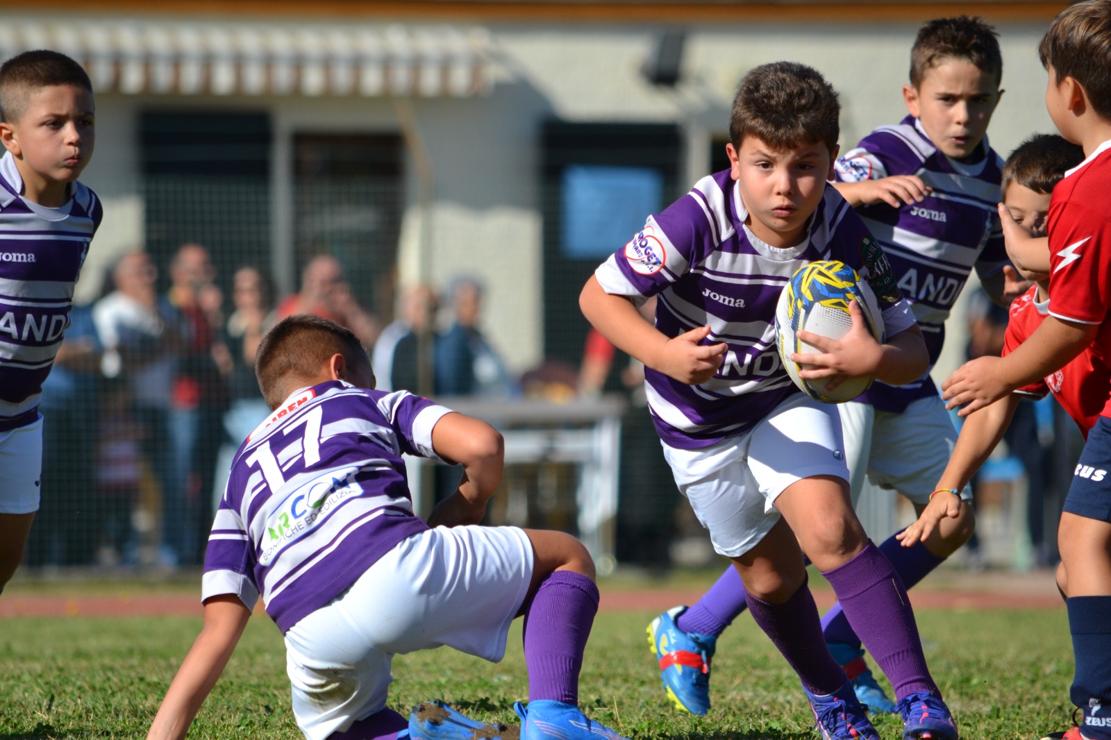 Immagine WhatsApp 2025 10 12 ore 20.16.00 0b2a6cd2