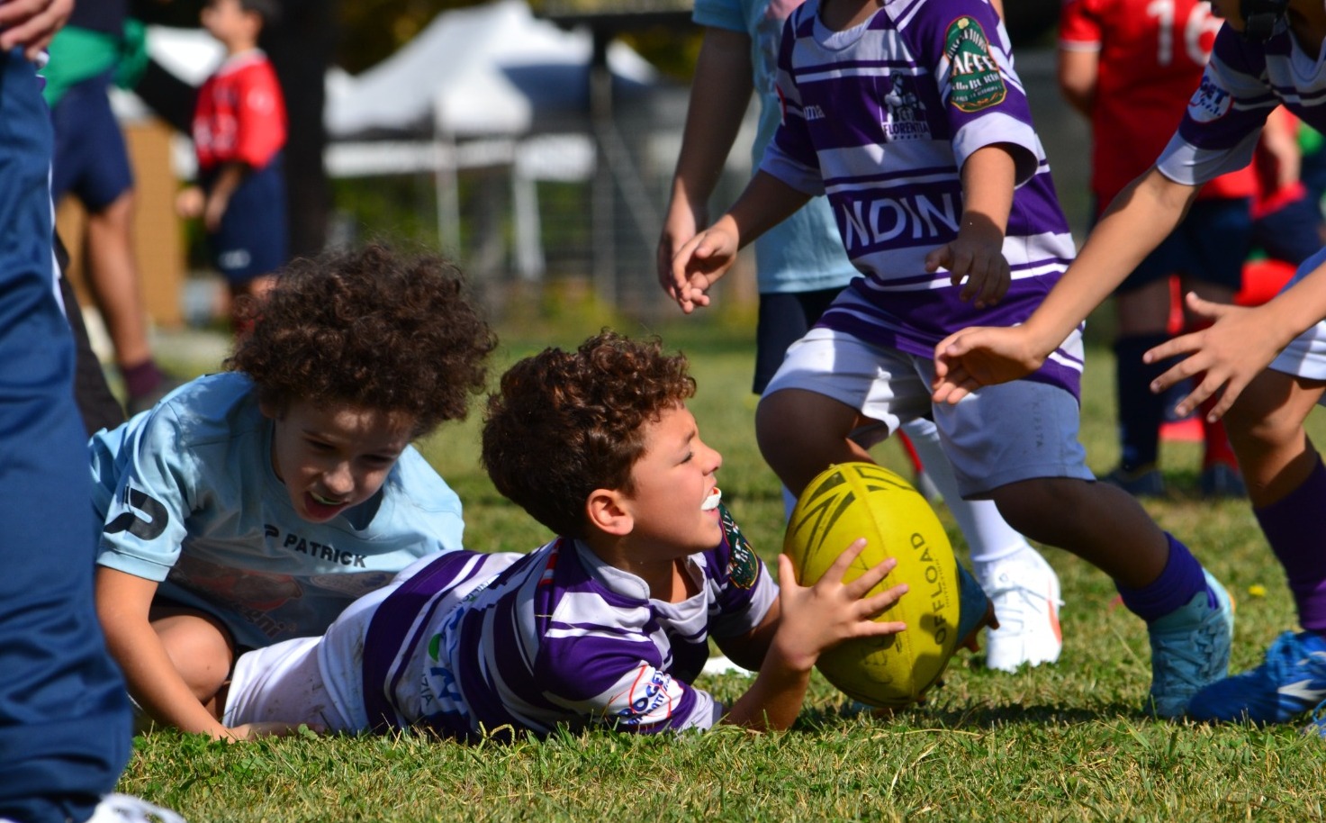 Immagine WhatsApp 2025 10 12 ore 20.20.54 1b8e72bd