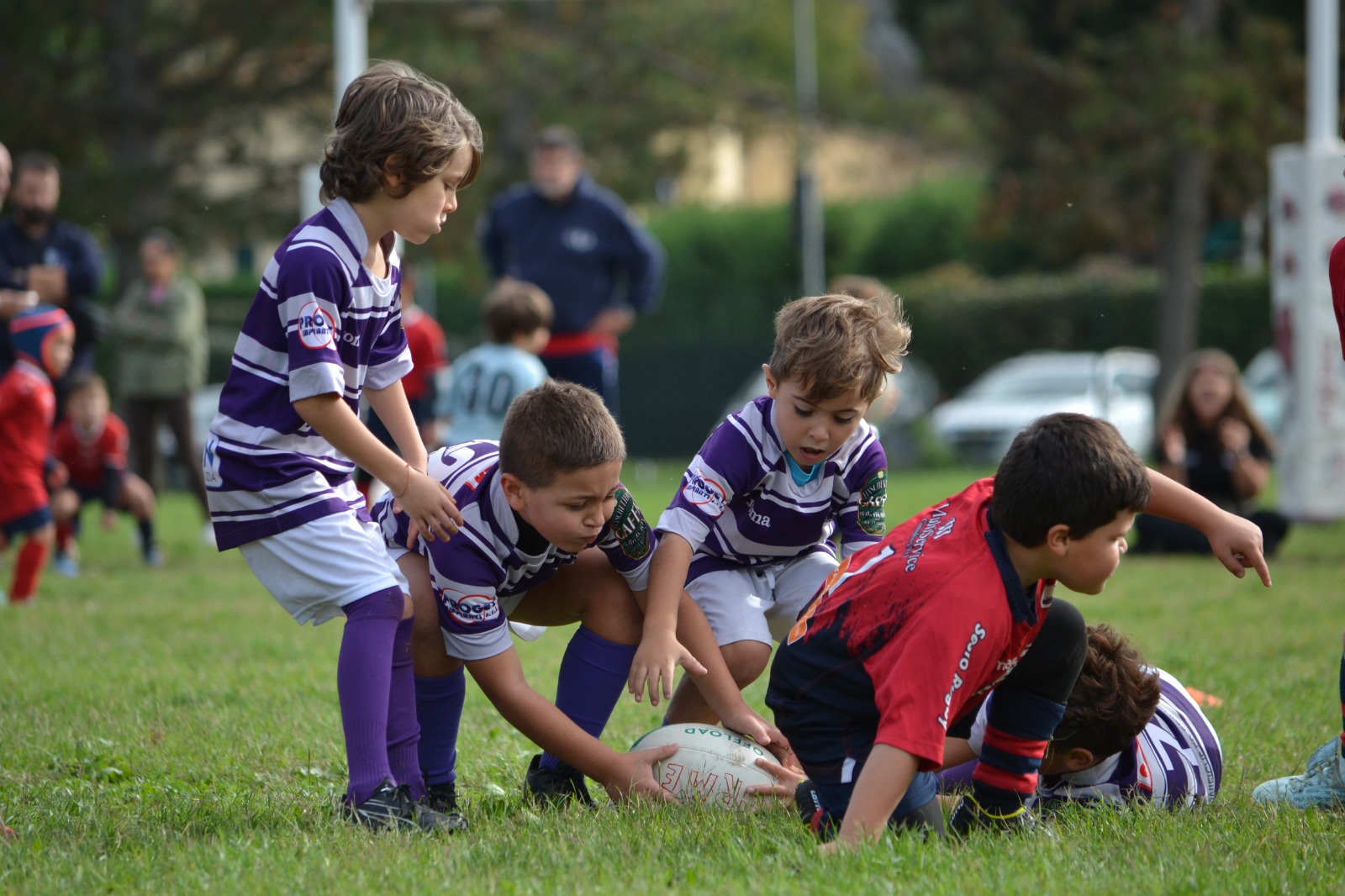 Immagine WhatsApp 2025 10 26 ore 16.08.46 0468cb0d