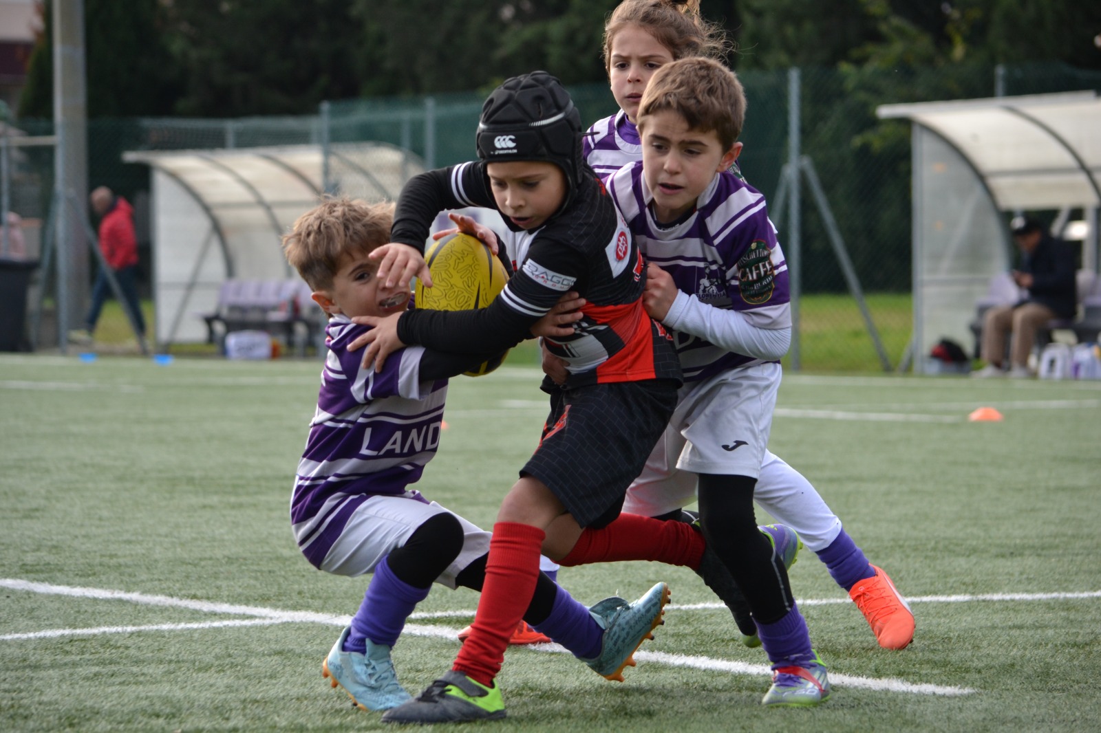 Immagine WhatsApp 2025 11 23 ore 15.31.38 80b79399