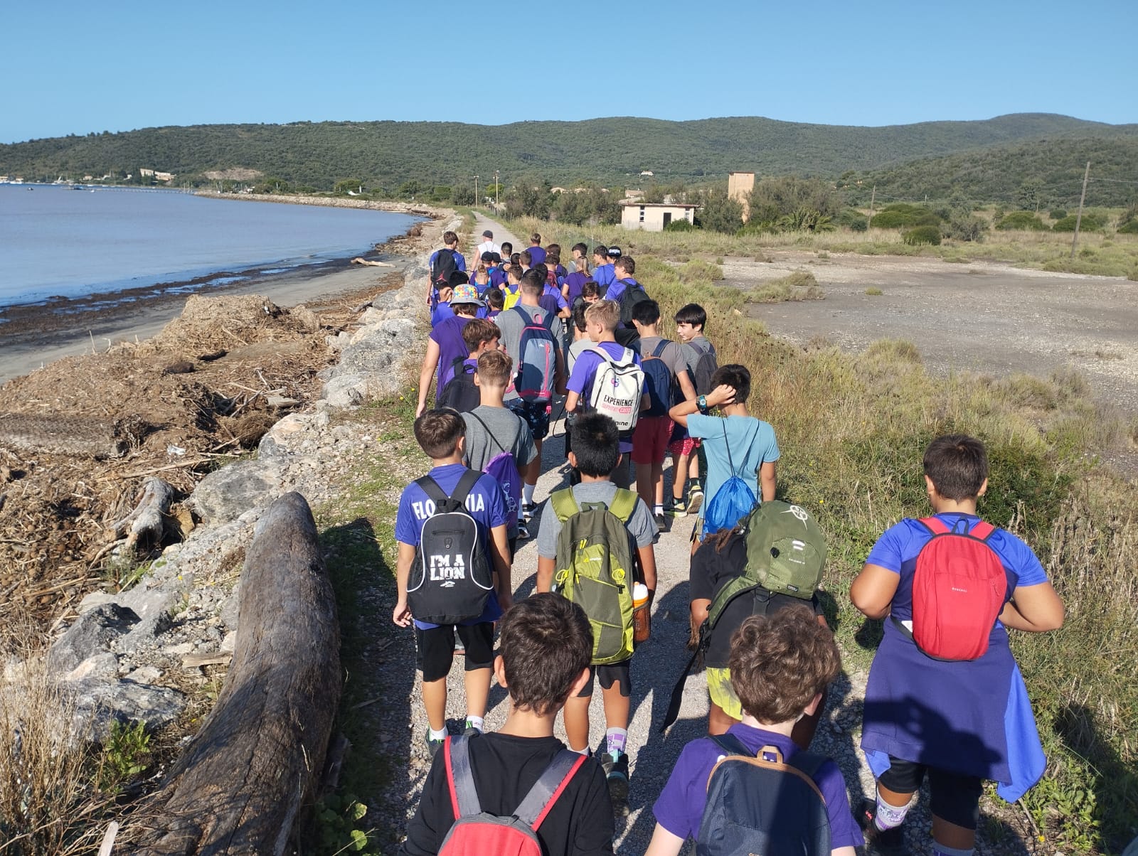 Immagine WhatsApp 2025 09 16 ore 09.16.13 c1a4a3dd